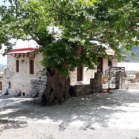 Traditional House Koukounara 키사모스 외부 사진