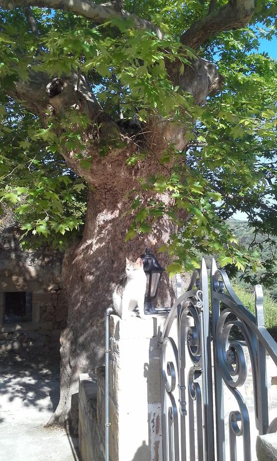 Traditional House Koukounara 키사모스 외부 사진