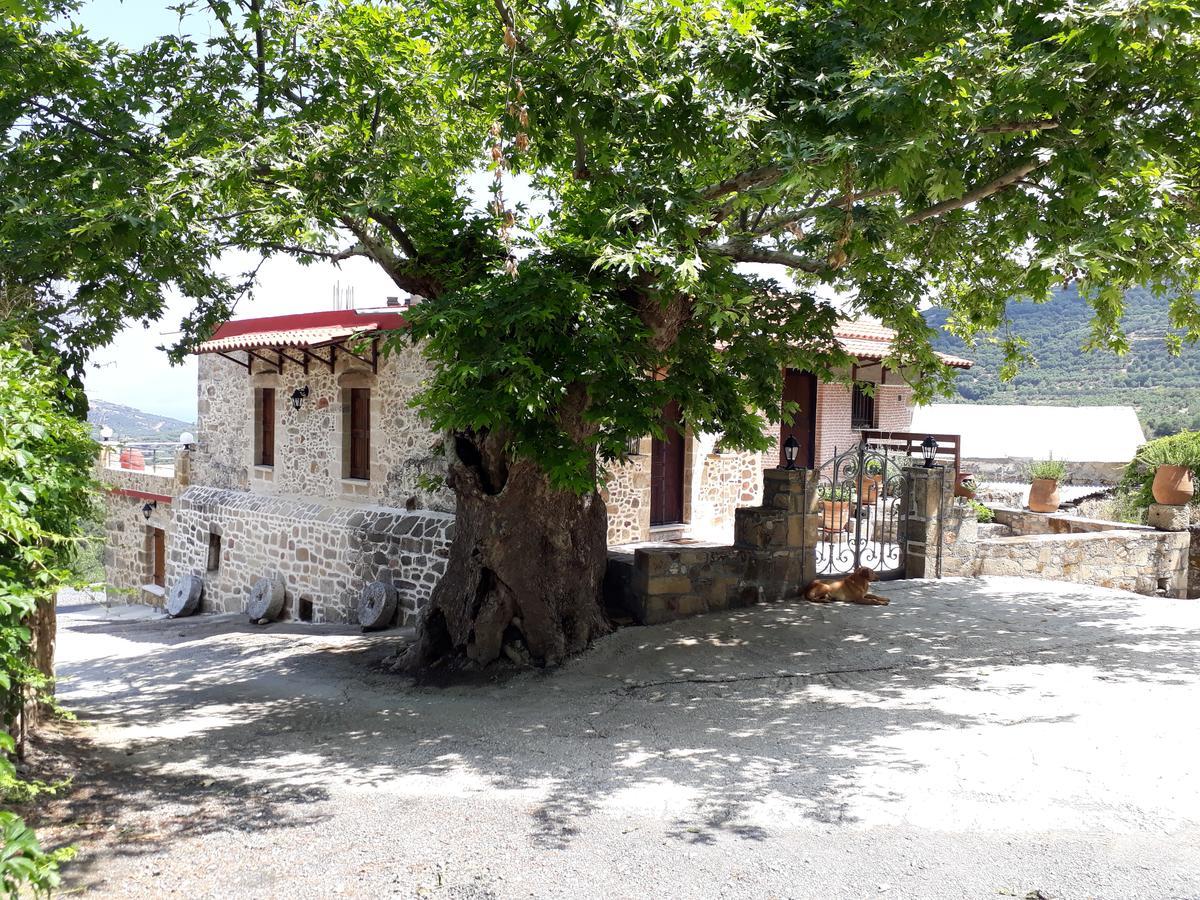 Traditional House Koukounara 키사모스 외부 사진